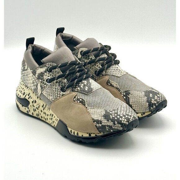 Steve Madden Cliff Hidden Heel Sneakers Shoes Women's Size 7.5 Animal Print - Picture 1 of 11